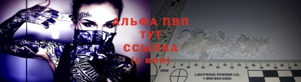 спайс Инта