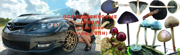 тгк Иннополис