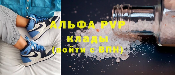 спайс Инта