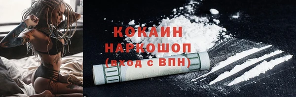 спайс Инта