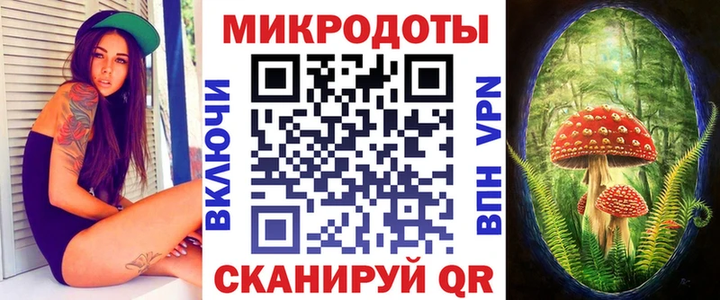 Купить закладки Староминская Псилоцибиновые грибы GOLDEN TEACHER